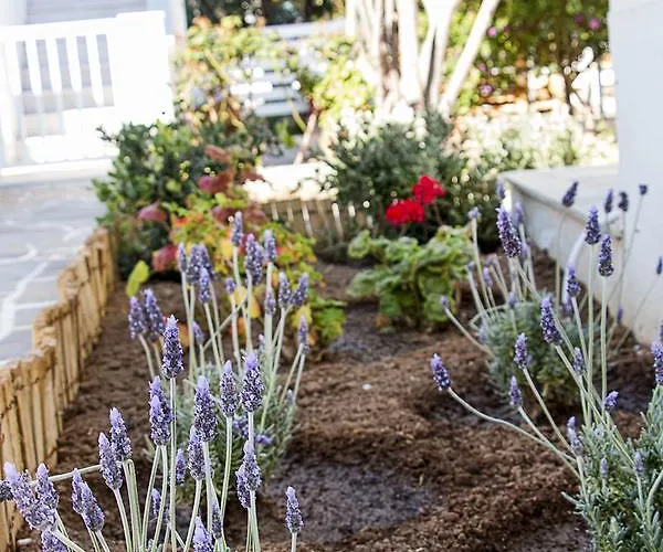 Apartamento Mersea *